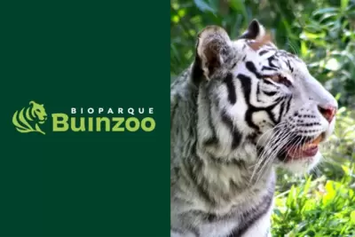Ven a disfrutar de un día en Buin Zoo (Fast Pass) - Familiares